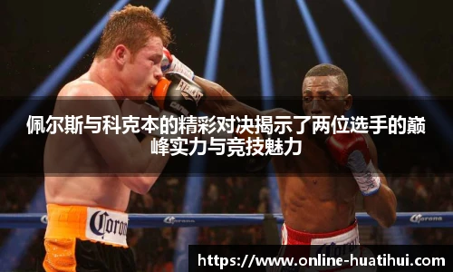 华体会hth体育官网入口