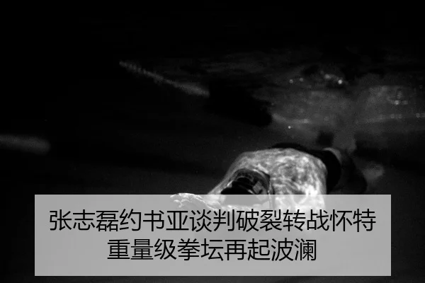 张志磊约书亚谈判破裂转战怀特 重量级拳坛再起波澜